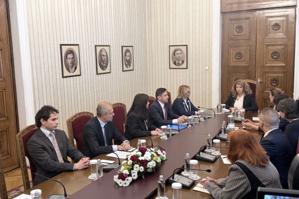ДПС на консултациите при президента: Ще бъдем конструктивна опозиция.